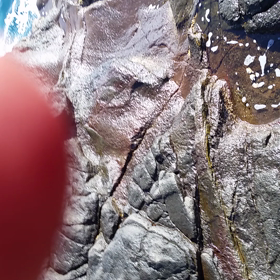 昨日の釣果の画像