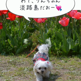 1.6キロになったでぇの画像