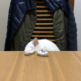 必殺！？箸置き落し！の画像