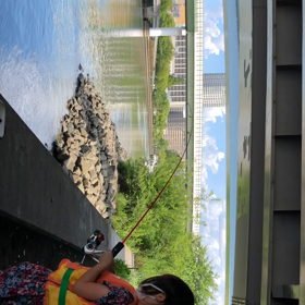 近所の涼しそうな所での画像