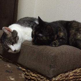 変な時間に目が覚めて…の画像