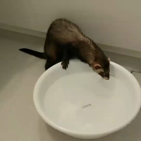 1月14日（火）出社の画像