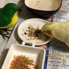 れおはいいこの画像