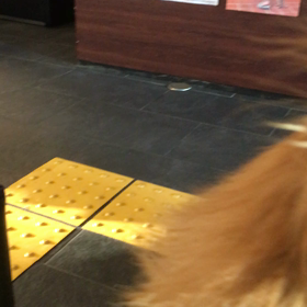 まだかなまだかな。の画像