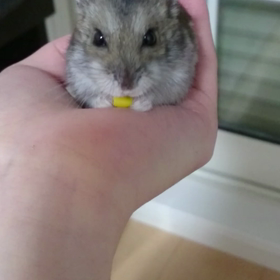 何かへん？？の画像