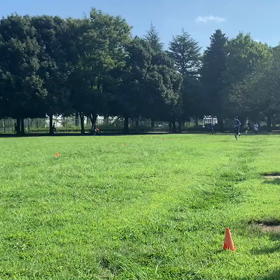 9月5日 400インターバル ゴール付近③の画像