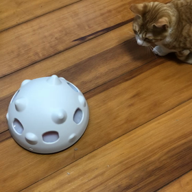 新しいオモチャの画像