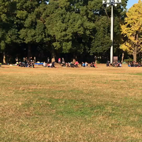 10色対抗リレースタート！の画像