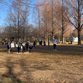 1/6 ダッシュの場③の画像