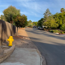 野生の生き物と共存する日常の画像