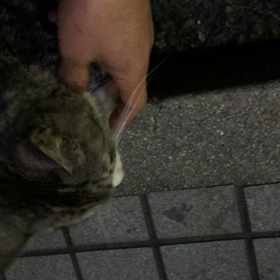 でも、可愛い…(*´ｪ｀*)の画像