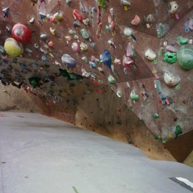 パキッて３ヶ月の画像