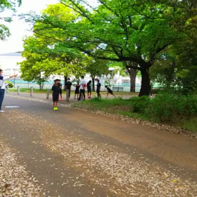 リレー選考会(男子)スタート付近④の画像