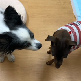 カメラあるある。の画像