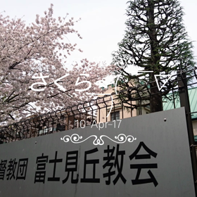 さくら～( ￣▽￣)の画像