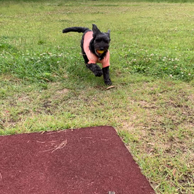 今日も元気の画像