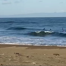 本日の営業は終了させて頂きます。の画像