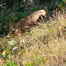 なにか探してる❓の画像