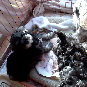 やっと…の画像