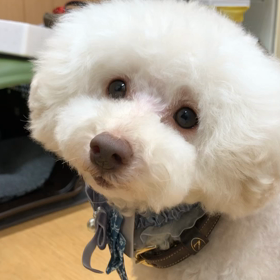 ソナ編。の画像