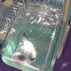 日の目を見たの画像