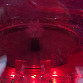 2/23稼働 〜天下一閃 レレレにおまかせ (魔法少女J)の画像