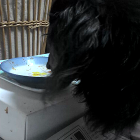 お陰様で歩いてます(*^^*)の画像