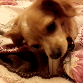 よくなってる！の画像