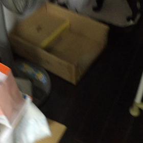 免疫つきすぎて寛大で困ってます。の画像