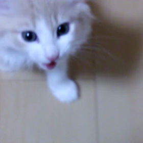 でっかくなりました♪の画像