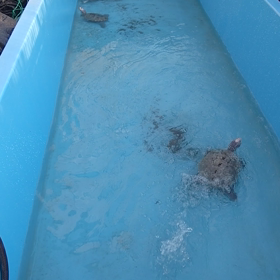 取り敢えずの画像