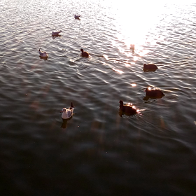 ジモティーの画像