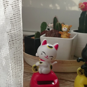 コッコッコッコッ…の画像