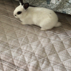 包（ほう）ちゃんと、私の会話♪ -２-の画像