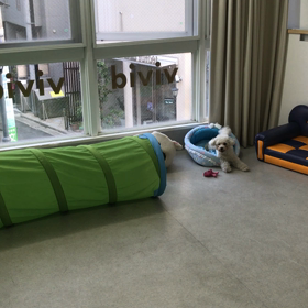 ♪プレイルーム動画♪②の画像