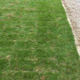 今  日のココのんの画像