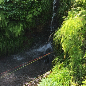 暑い日も嫌いではありませんの画像