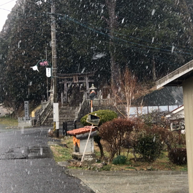 今シーズン最後の雪かなぁの画像