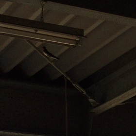 遅いかなぁの画像