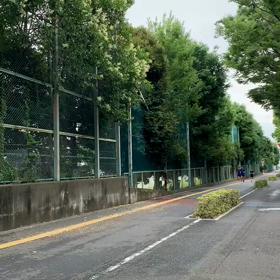 7月5日 ロード練習③の画像