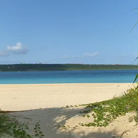 術後２８カ月の画像