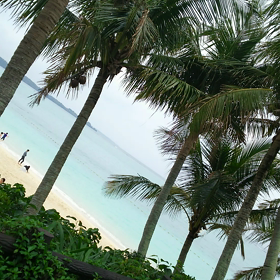 沖縄  2017  動画の画像