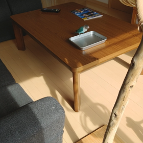 水浴びがふえました( ´∀`)の画像