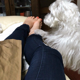 おねえたん、起きて〜の画像