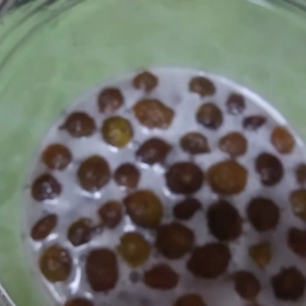 梅の酵素シロップが美味しく仕上がりましたの画像