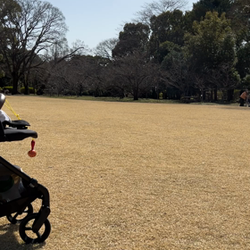 【生後11ヶ月2日】新技の画像