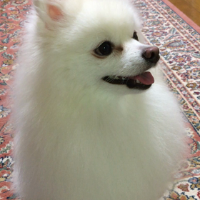 陰と陽(笑)の画像