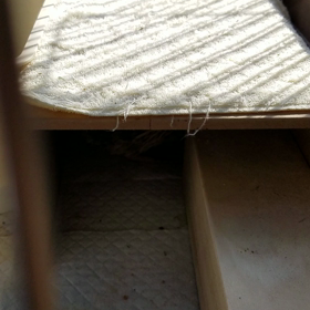 メスのポポポポ～♪の画像