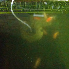 とりあえず動画の画像