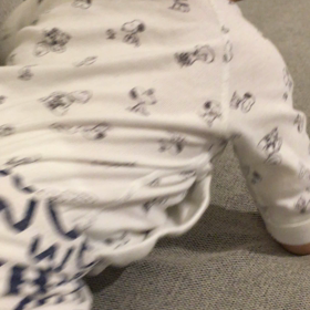 ハイハイ！の画像